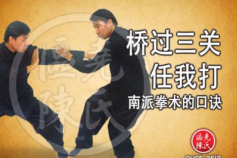 桥过三关任我打 一段南派拳术的口诀