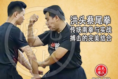 洪头蔡尾拳｜传统南拳与实战搏击的完美结合